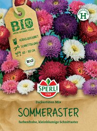 Bunter Blumenstrauß aus kleinen, bunten Chrysanthemen in pink, rot, violett, weiß und lila auf braunem Hintergrund.