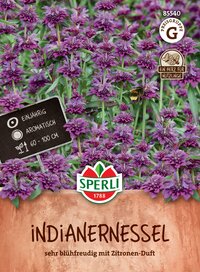 Bunte indische rezensionen mit lila blüten im topf, biene fliegt, etiketten, pflegetipps und logo.
