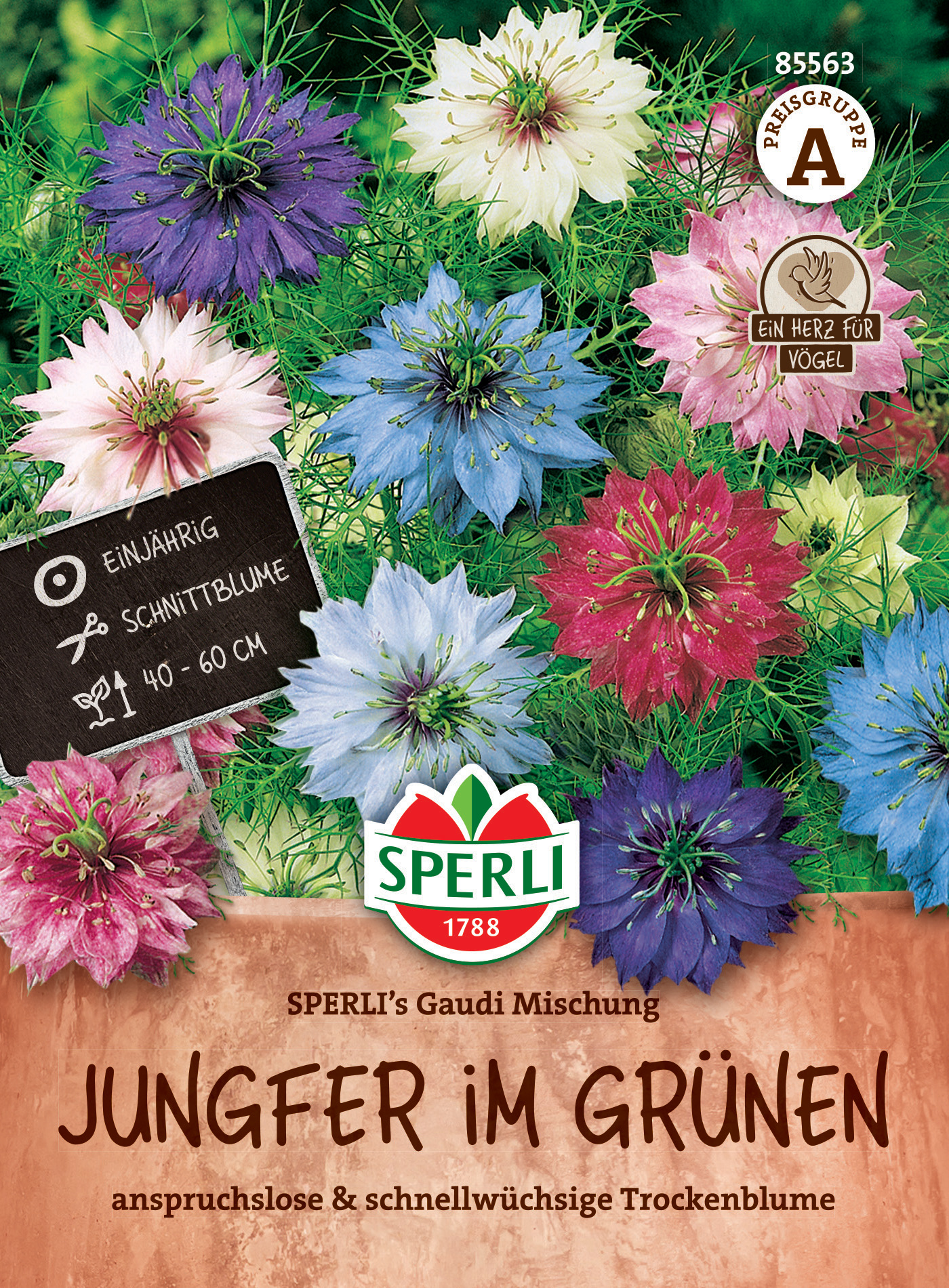 Bunte Jungfer im Grünen mit blauen, weißen, pinken und lila Kornblumen, im Topf.