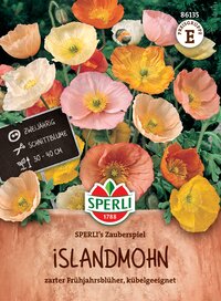 Bunte Mohnblumen in verschiedenen Farben.
