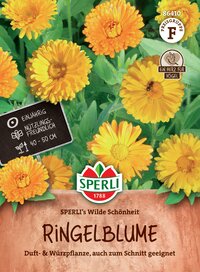 Gelbe Ringelblumen mit grünen Blättern, Biene auf Blüte, mehrere Blüten sichtbar.