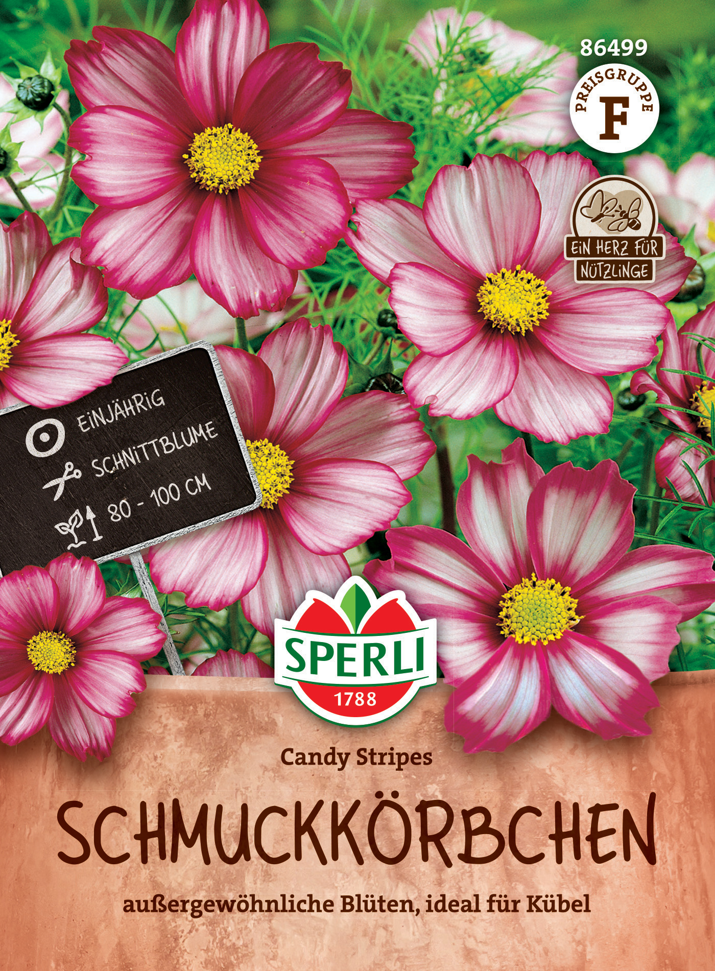 Pink und weiße Cosmea-Blumen in einem Pflanzkübel, mit Schild und Logo auf der Verpackung.