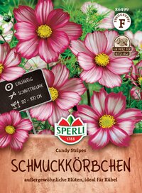 Pink und weiße Cosmea-Blumen in einem Pflanzkübel, mit Schild und Logo auf der Verpackung.
