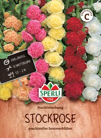 Bunte Stockrosen in Gelb, Rot, Weiß und Pink mit Hinweis auf Pflege und Standort.
