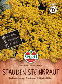 Gelbe Stauden-Steinkraut blühende Pflanze, mehrjährig, 10-20 cm hoch, bodendeckend, robuste Frühjahrsblüher.