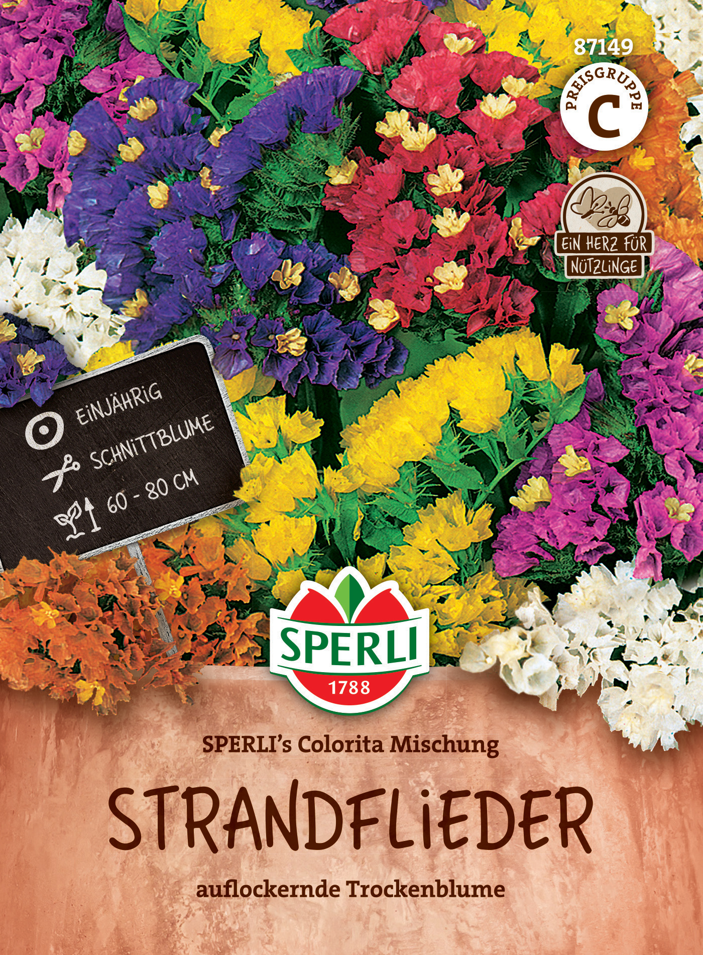 Bunte Trockenblumen in verschiedenen Farben, gestapelt auf Erdeoptik, für Dekor.