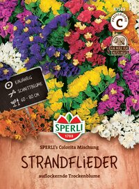 Bunte Trockenblumen in verschiedenen Farben, gestapelt auf Erdeoptik, für Dekor.