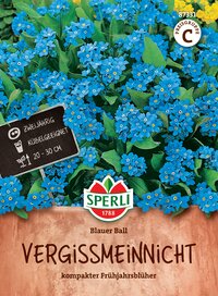 Bohnenblühende Vergissmeinnicht in blauer Farbe, kompakte Frühlingsblüher, geeignet für Kübel, 20-30 cm hoch.