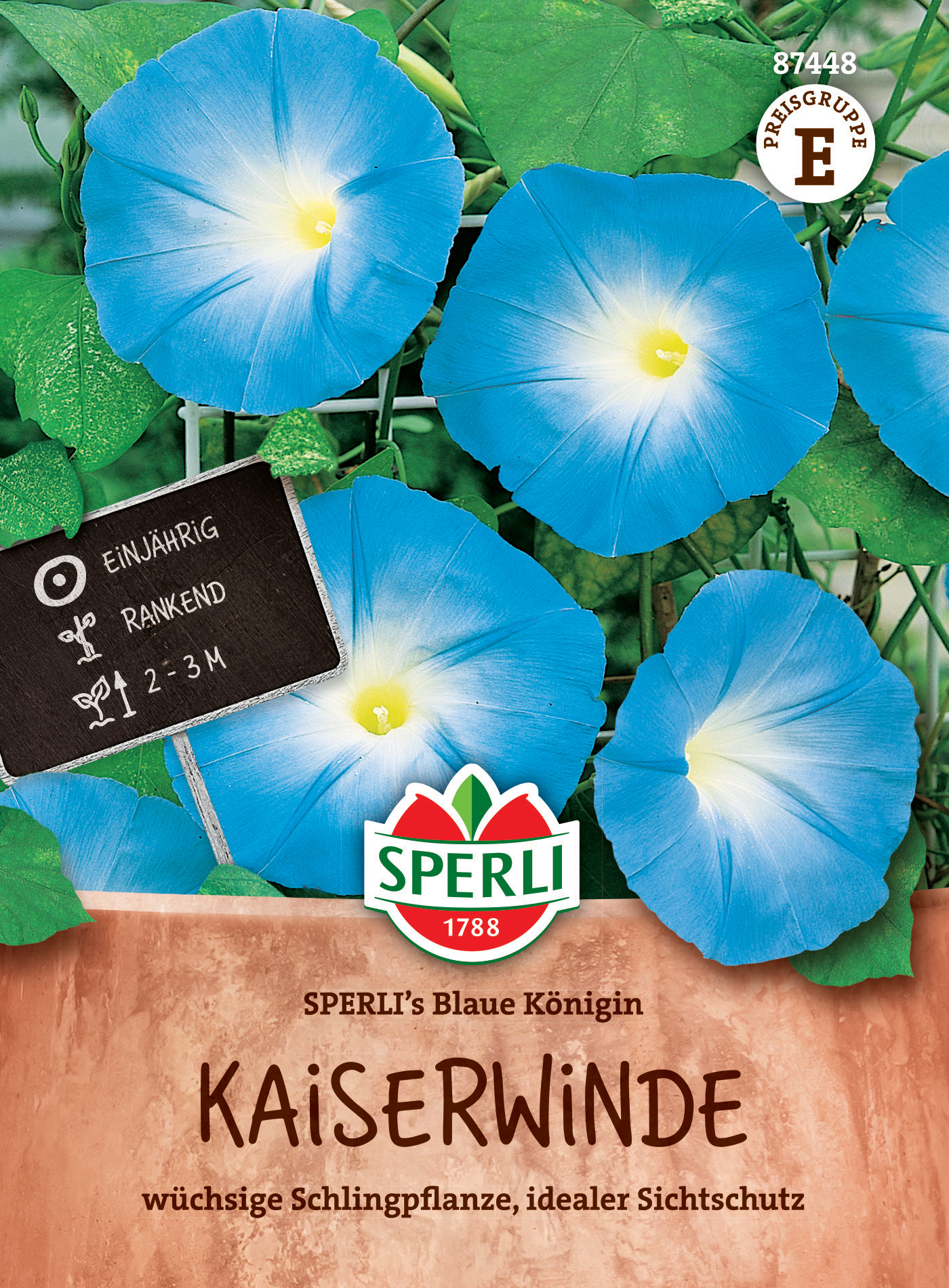Blaue Kaiserin-Kaiswinde mit großen, wüchsigen Blüten und idealem Sichtschutz.