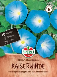 Blaue Kaiserin-Kaiswinde mit großen, wüchsigen Blüten und idealem Sichtschutz.