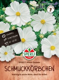 Weiße cosmosblumen mit gelben mitten, auf Verpackung abgebildet.