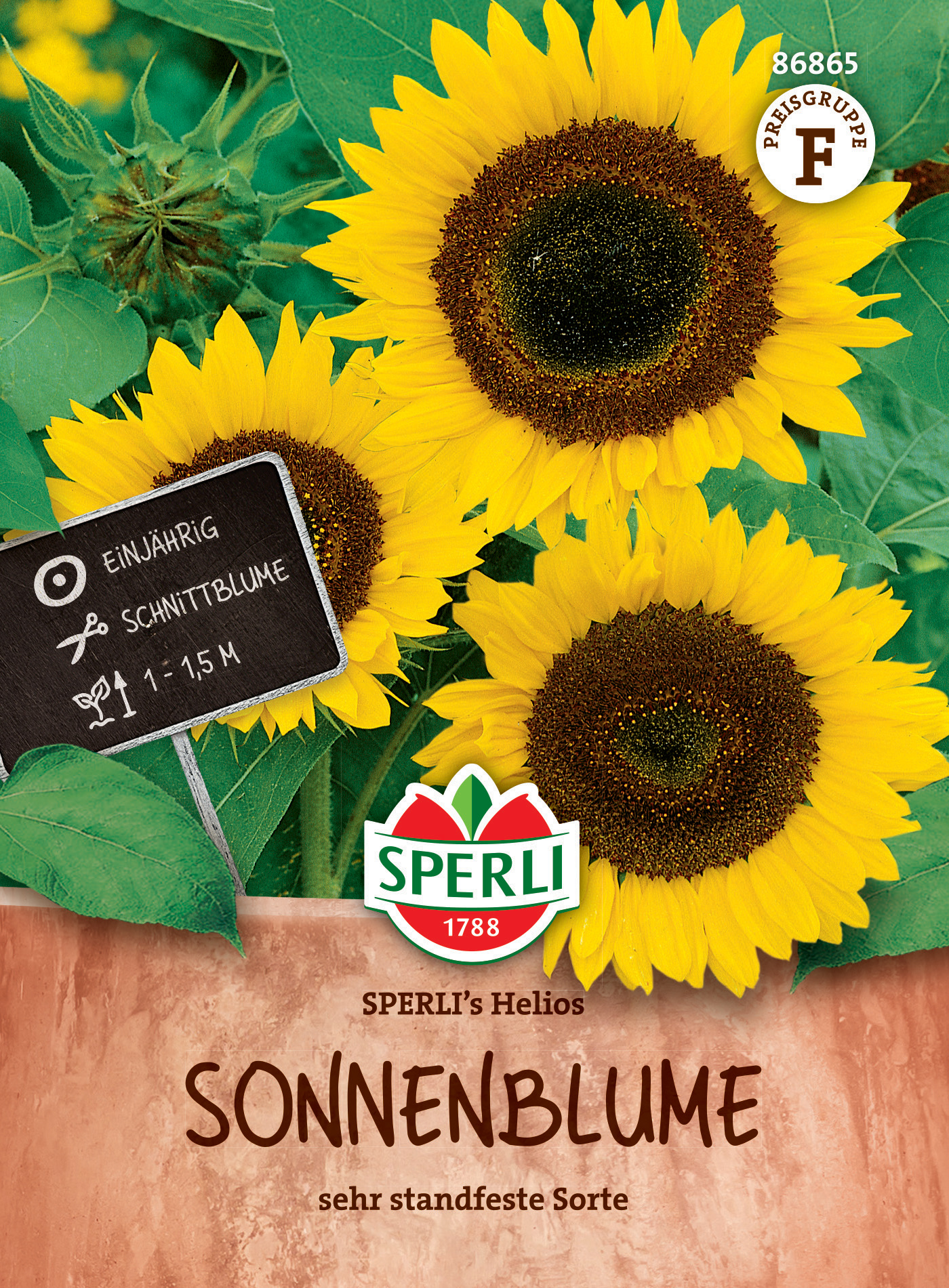 Sonnenblumen mit gelben Blüten, grüne Blätter, Pflanzenschild, Keramik-Topf, Markierung für einejährige, Schnittblume, 1-15 m.