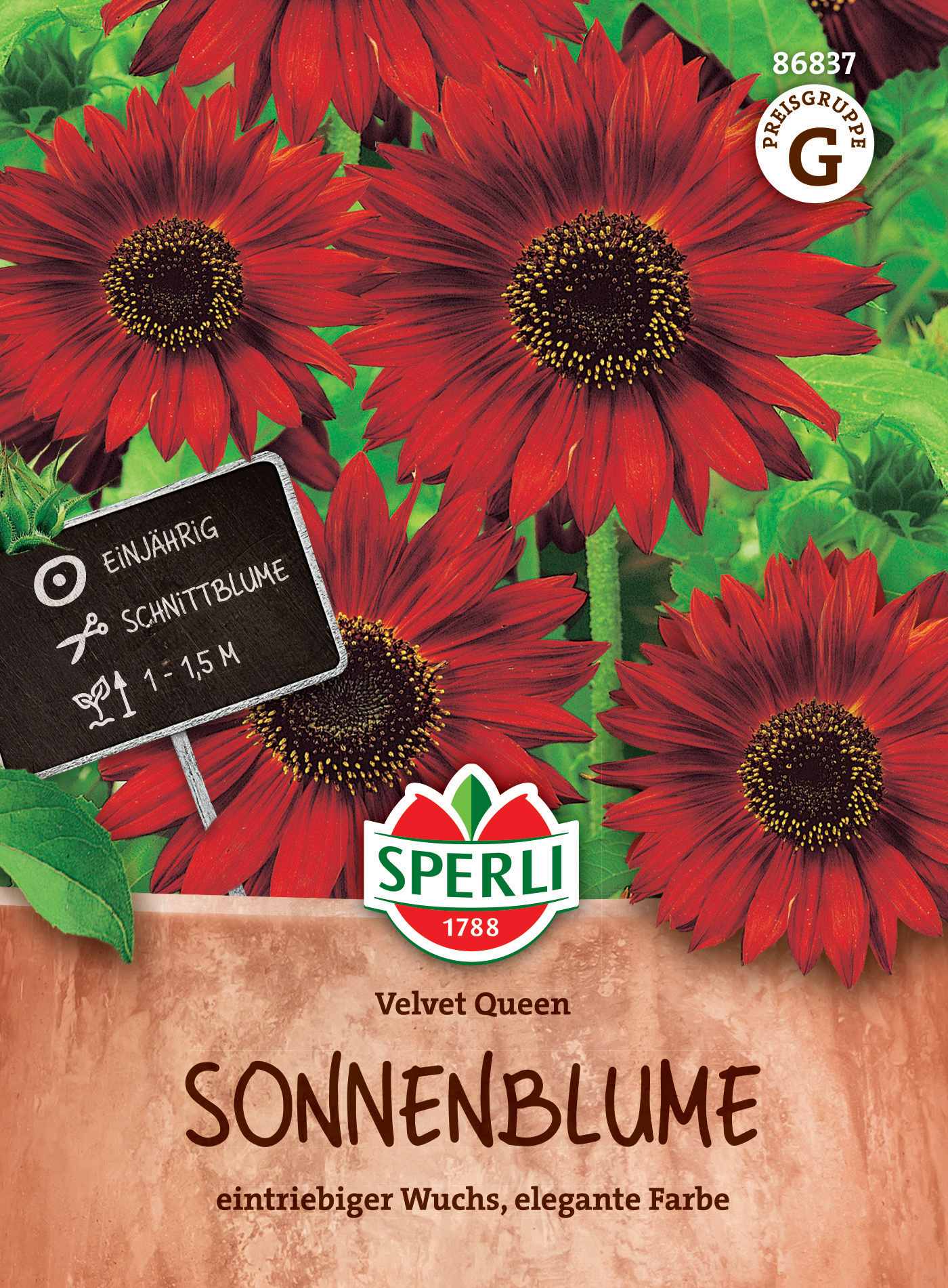 Rote Sonnenblumen mit grünen Blättern, im Topf gepflanzt, mit schwarzem Etikett und weißem Rand.