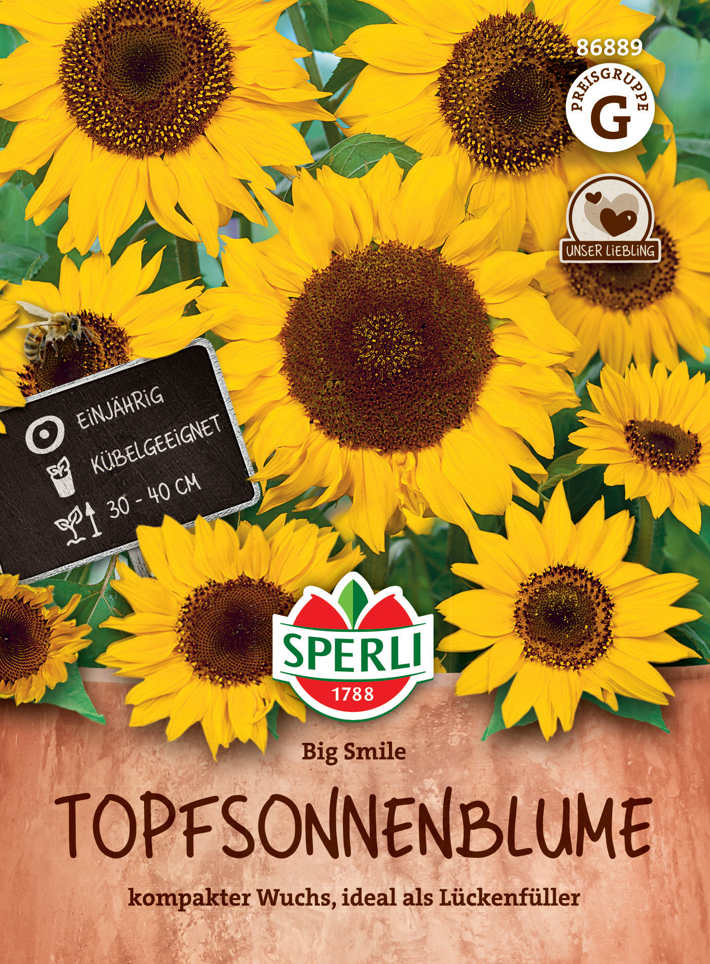 Groß blühende Sonnenblumen in einem Blumentopf, mit Spruch "Topfsonnenblume" und Hinweis auf Wuchshöhe 30-40 cm.