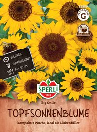 Groß blühende Sonnenblumen in einem Blumentopf, mit Spruch "Topfsonnenblume" und Hinweis auf Wuchshöhe 30-40 cm.