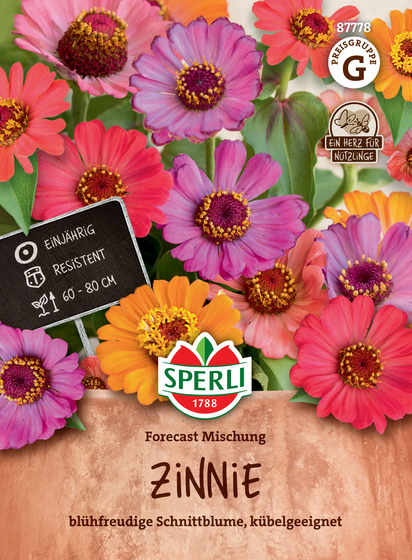 Bunte Zinnie Blüten in einem Tontopf mit Schild, die Sorte heißt Zinnie, blühfreudige Schnittblume, robust