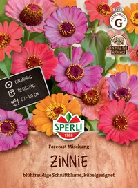 Bunte Zinnie Blüten in einem Tontopf mit Schild, die Sorte heißt Zinnie, blühfreudige Schnittblume, robust