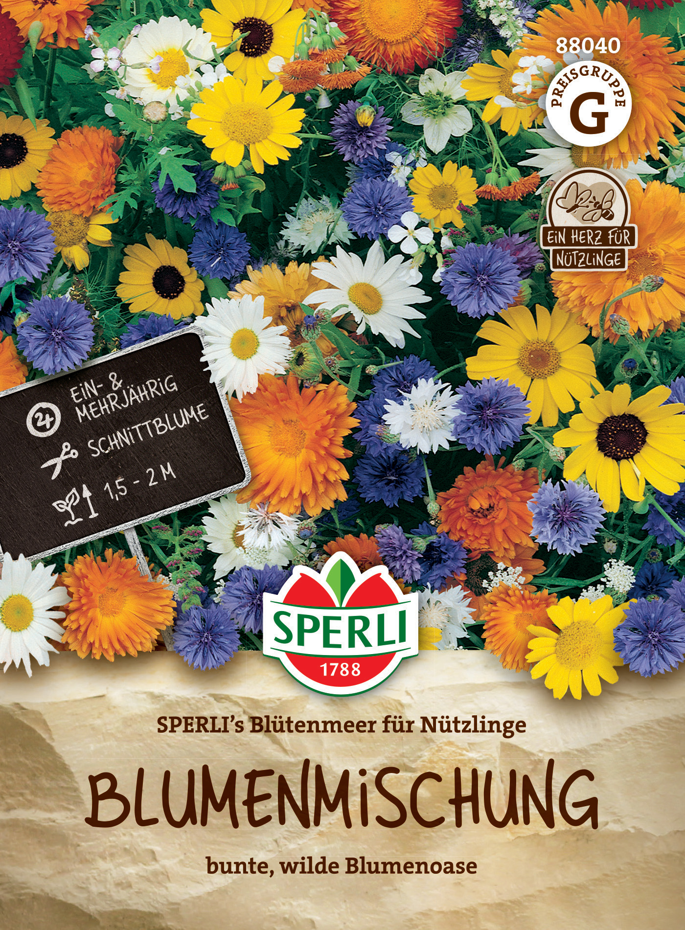 Bunte Blumenmischung mit Gänseblümchen, Aster, Ringelblumen und Kornblumen, für Nützlinge, 1,5 bis 2 Meter hoch.