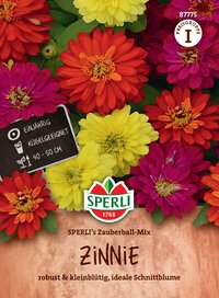Bunte Zinnien in Rot, Gelb und Pink, auf der Verpackung einer Zierblumenmischung.