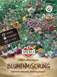 Bunte Blumenwiese mit verschiedenen Blüten und Insekten, orange und violette Blumen, grünes Gras.