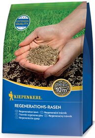 Keimung und Keimdauer von Rasensamen
