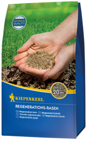 Regenerations-Rasensamen, 0,5 kg