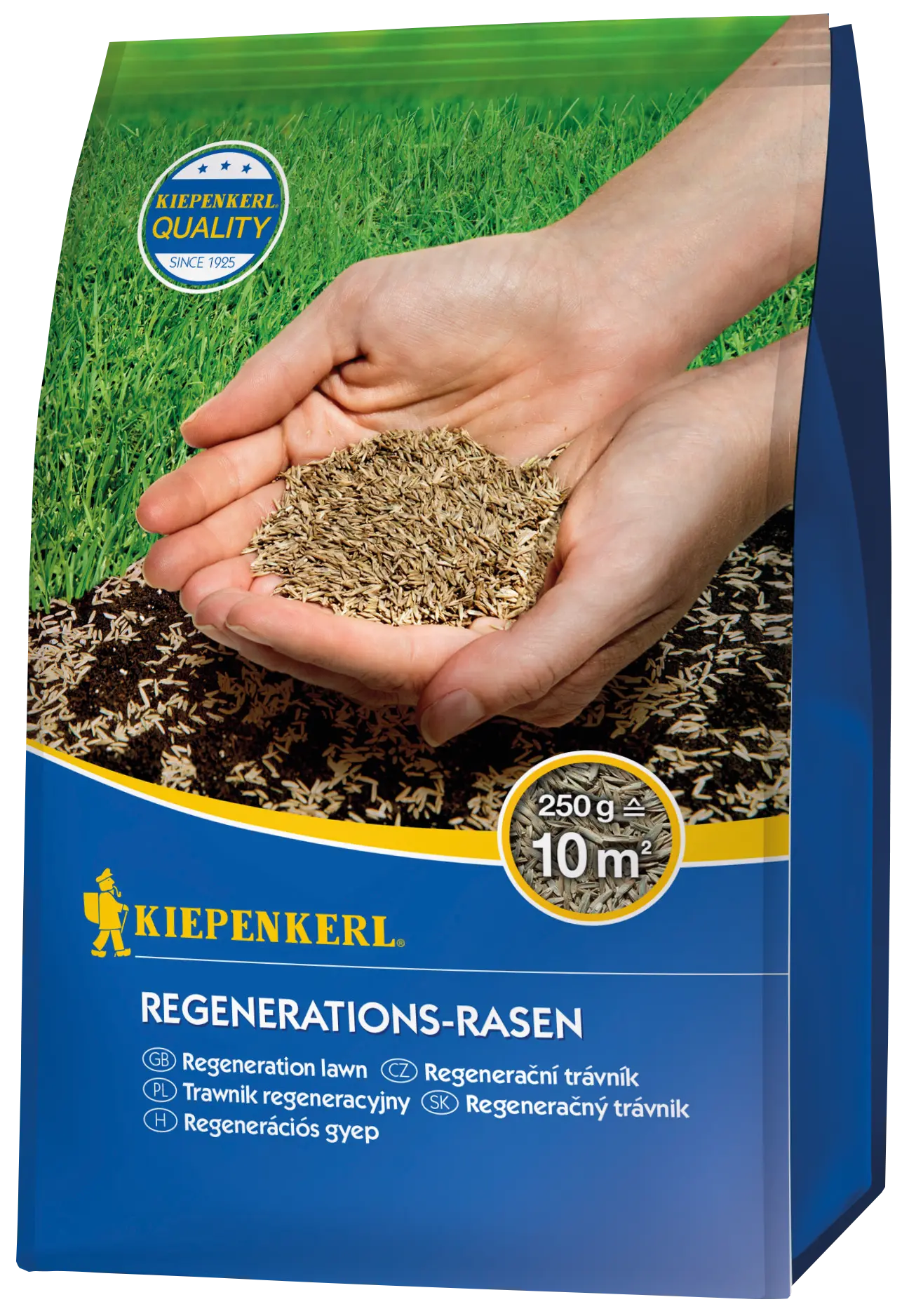 Regenerations-Rasensamen, 0,25 kg