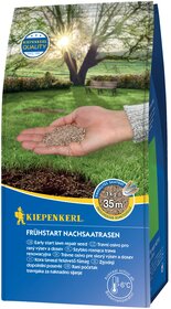 Hand hält Saatgut vor einem Baum im Sonnenschein, im Hintergrund grüne Wiese und Parkbank.