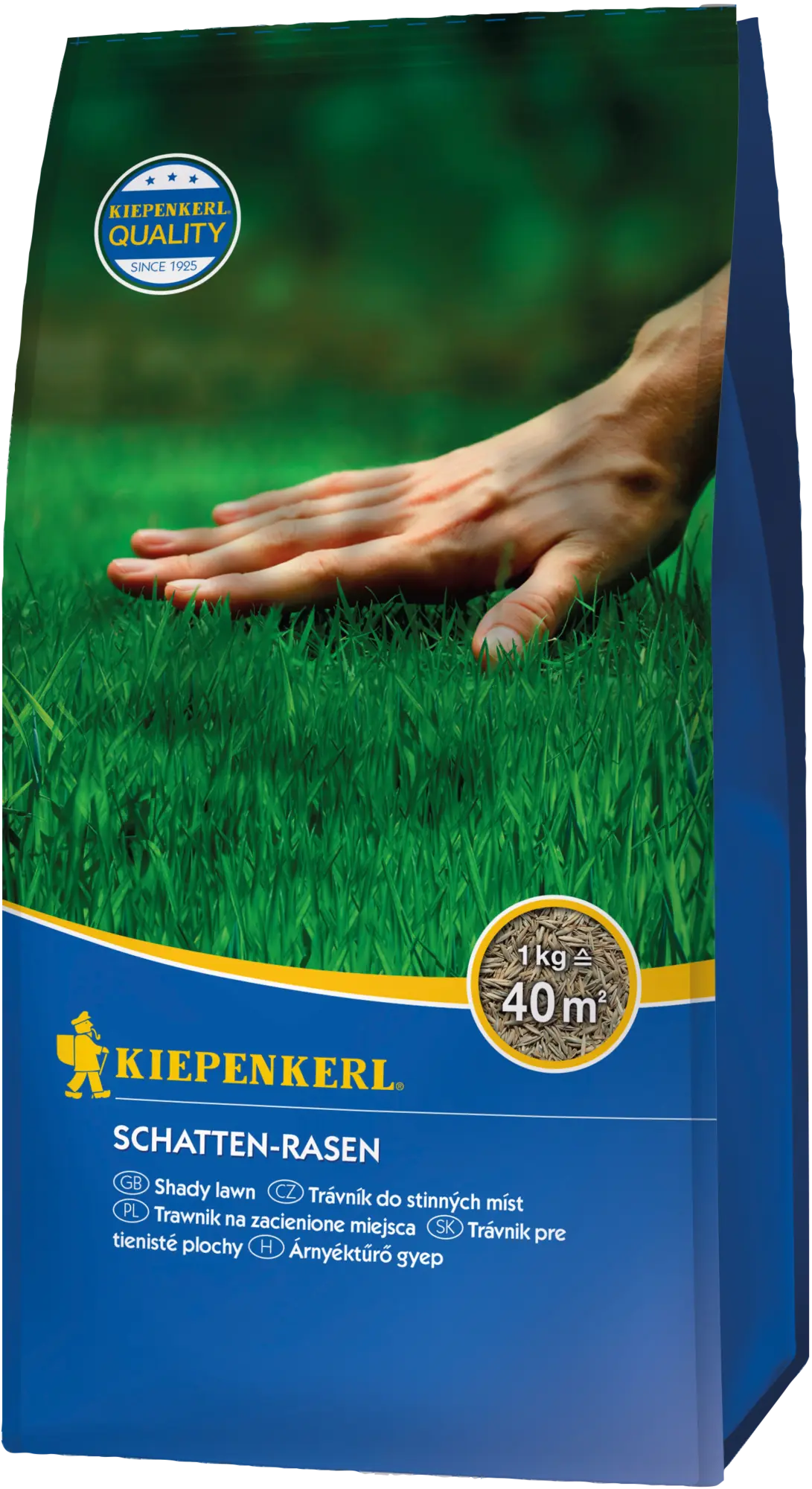 Schatten-Rasensamen, 1 kg