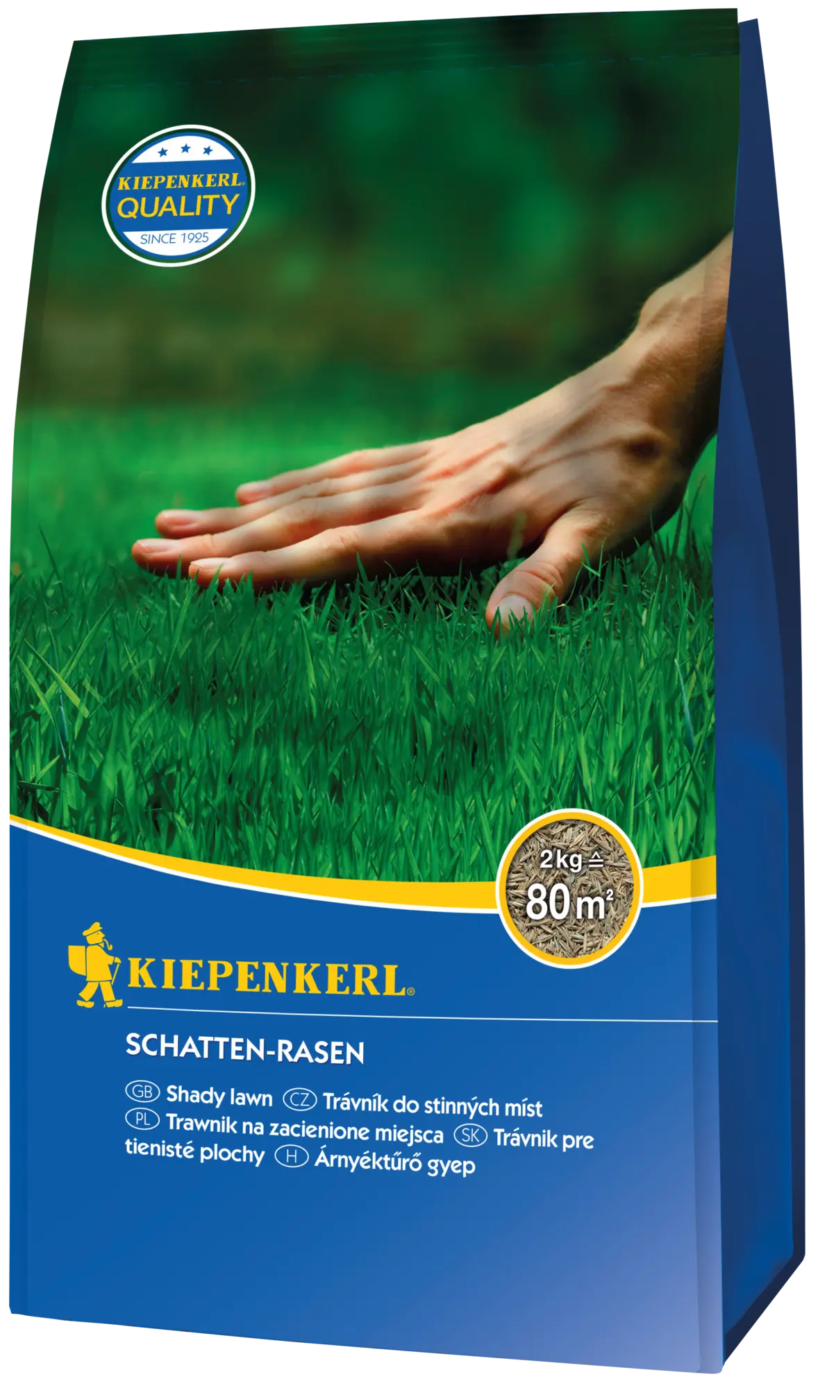 Schatten-Rasensamen, 2 kg