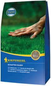 Schatten-Rasensamen, 2 kg