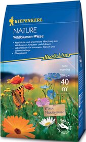 Bunte Blumen mit Schmetterling und einer kleinen Tafel mit der Aufschrift "Mein Paradiesrasen" vor blauem Himmel.