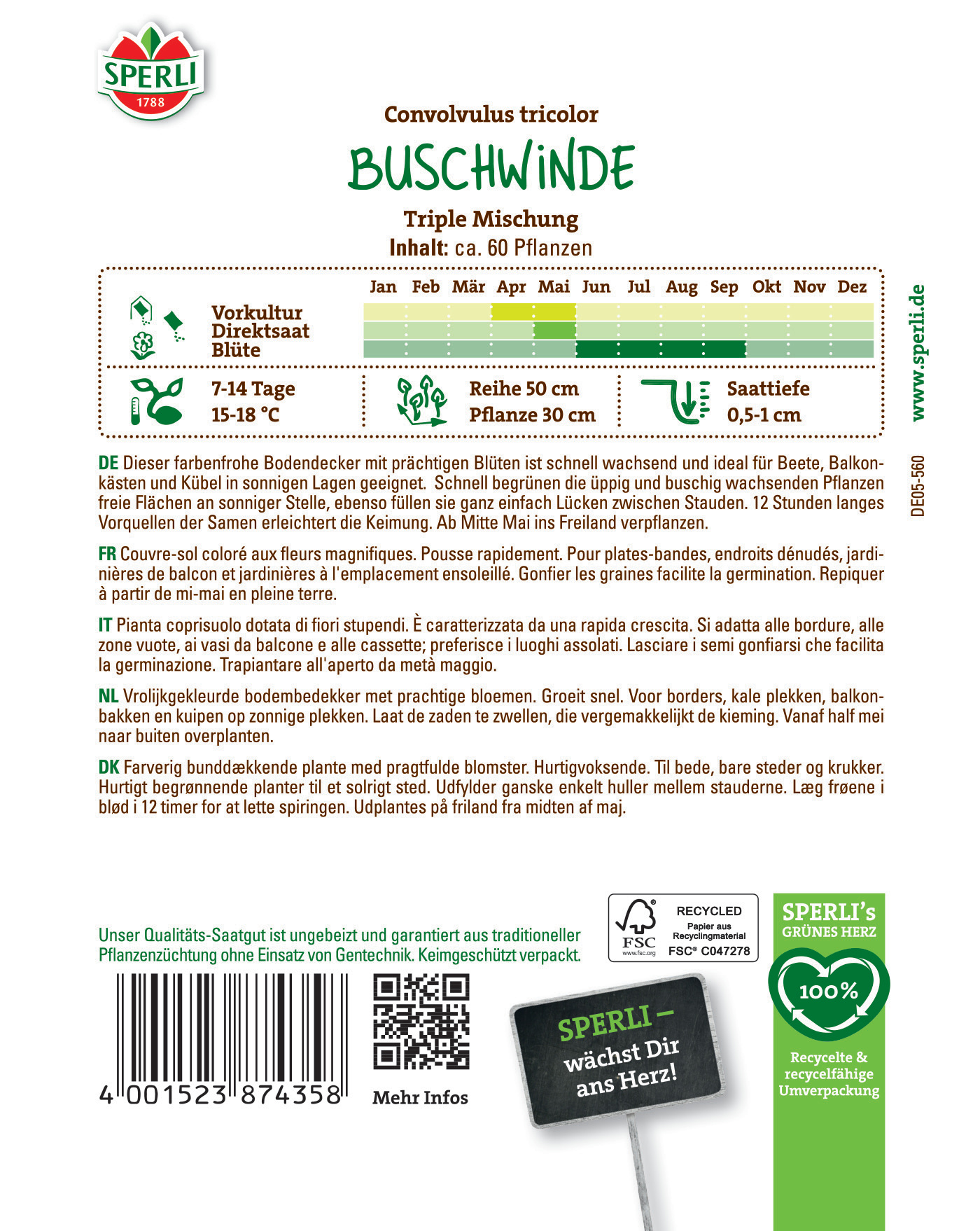 Grüner Bodenbedecker mit großen Blüten, schnell wachsend, für Balkon, Beet und Kübel, ab Mitte Mai im Freiland.