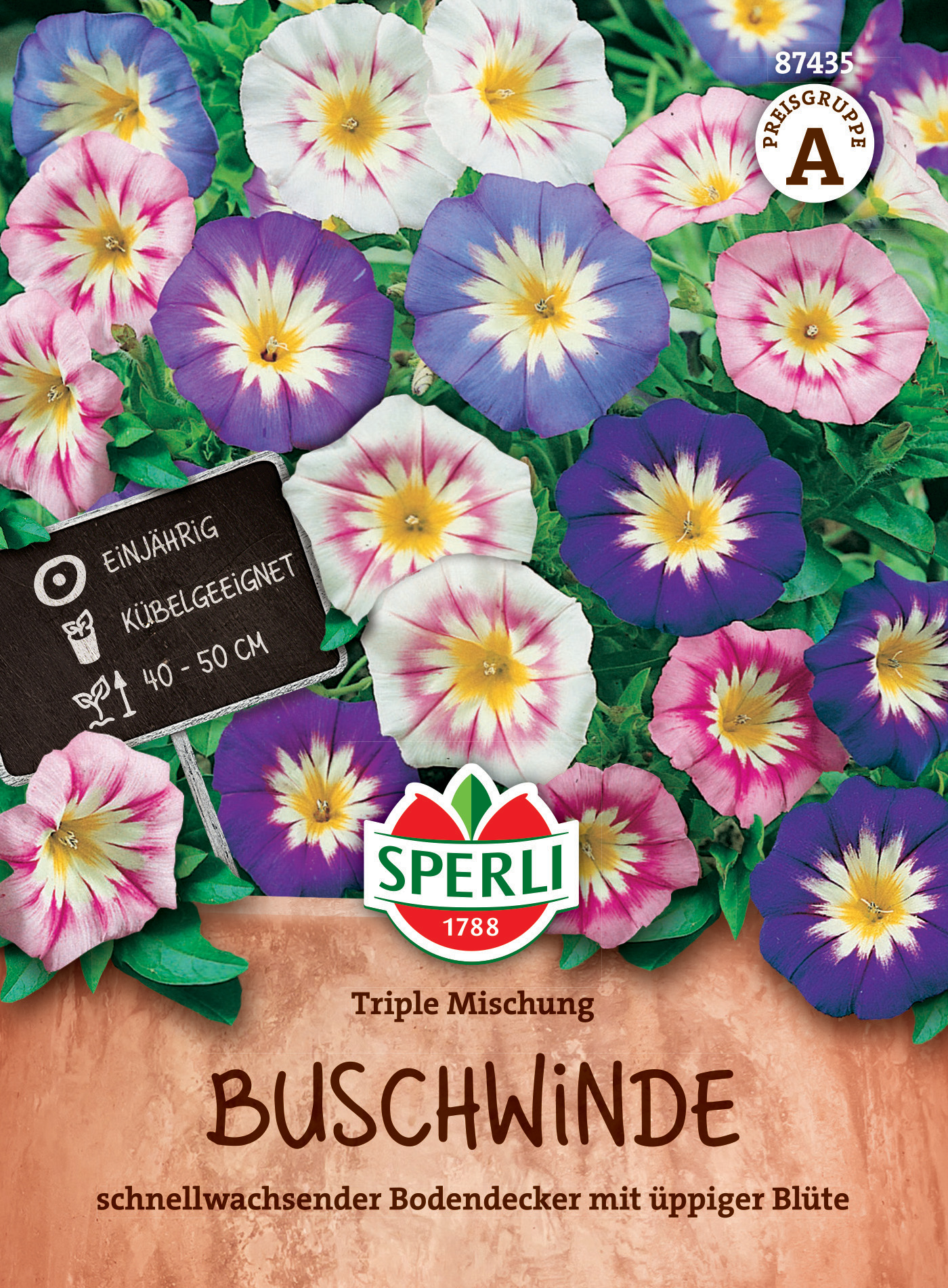 Buschwindel mit bunten Blumen, schnelle Bodendecker, 40-50 cm hoch, einjährig, kugelgeeignet.