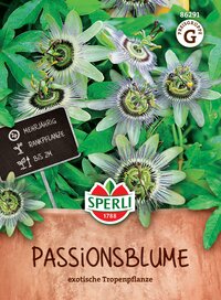Passionsblume mit violetten Blüten und grünen Blättern, bis 2 Meter hoch, mehrjährig, Rankpflanze.