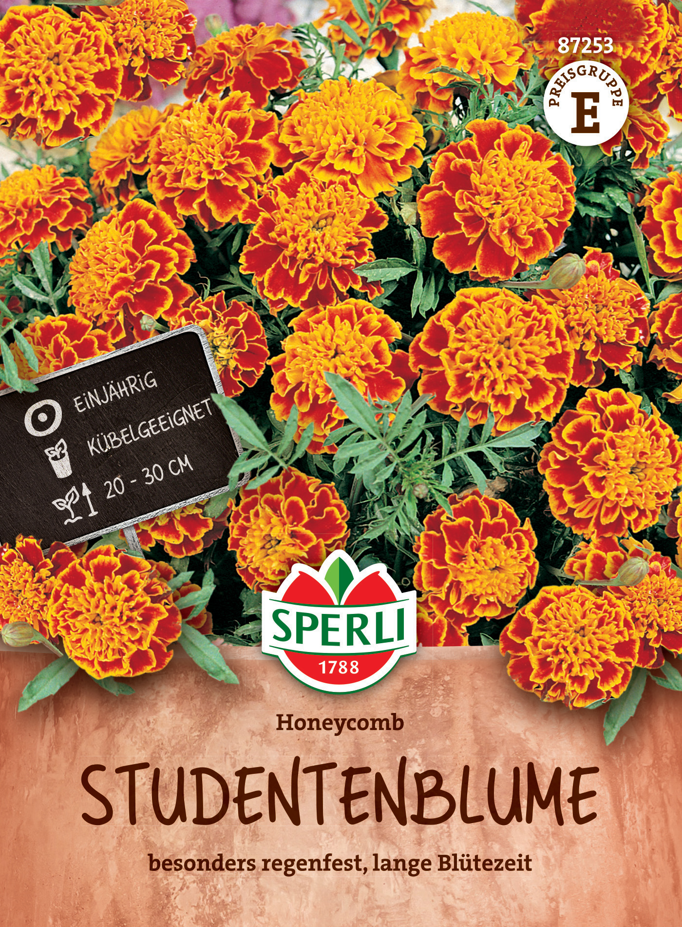 Gelbe-orange Blüten des Honeycomb Studentenblumenstrauchs, 20-30 cm hoch, einjährig, kübelgeeignet