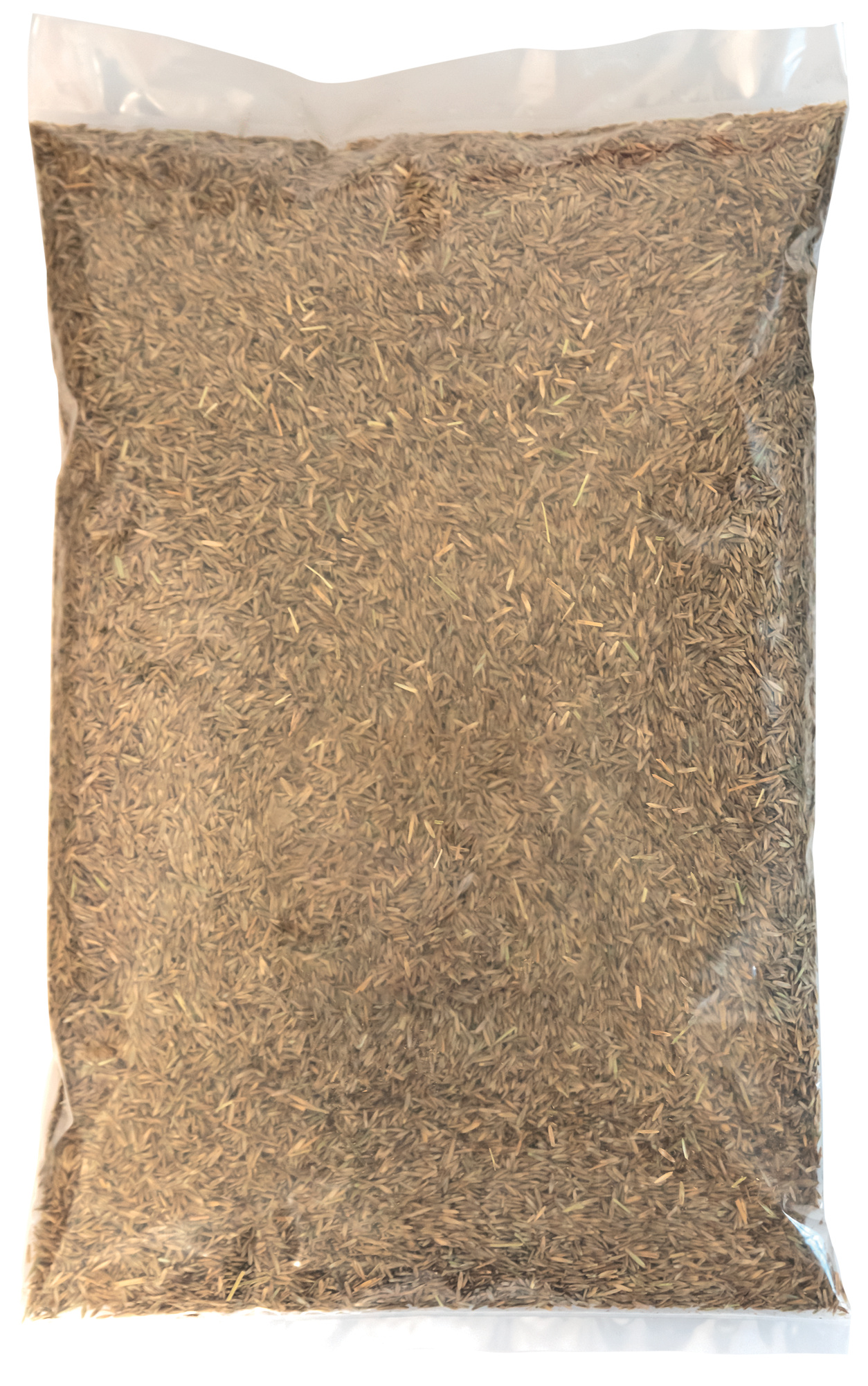 zitronengurke saatgut Saatgut Zitronengurke 'Lemon' - Cucumis sativus lemon