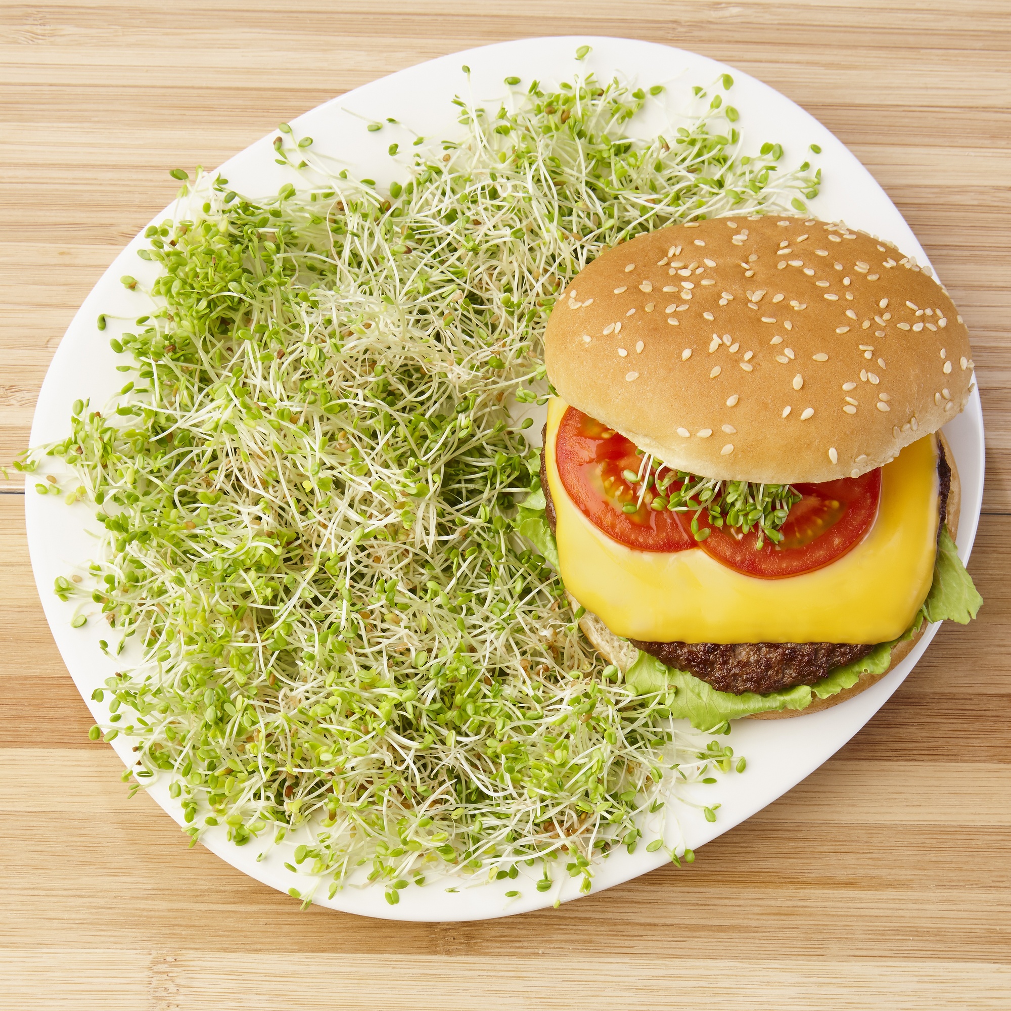 Hamburger mit Käse, Tomaten, Salat und Sprossen auf einem weißen Teller neben viel Grünzeug.