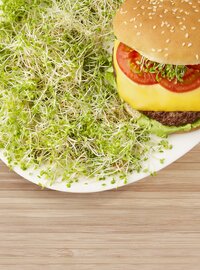 Vegetarischer Burger mit Tomate, Käse, Salat auf Brötchen, grüne Sprossen auf weißem Teller auf Holz.