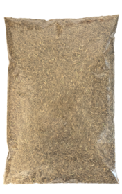 Deutsches Weidelgras Temprano