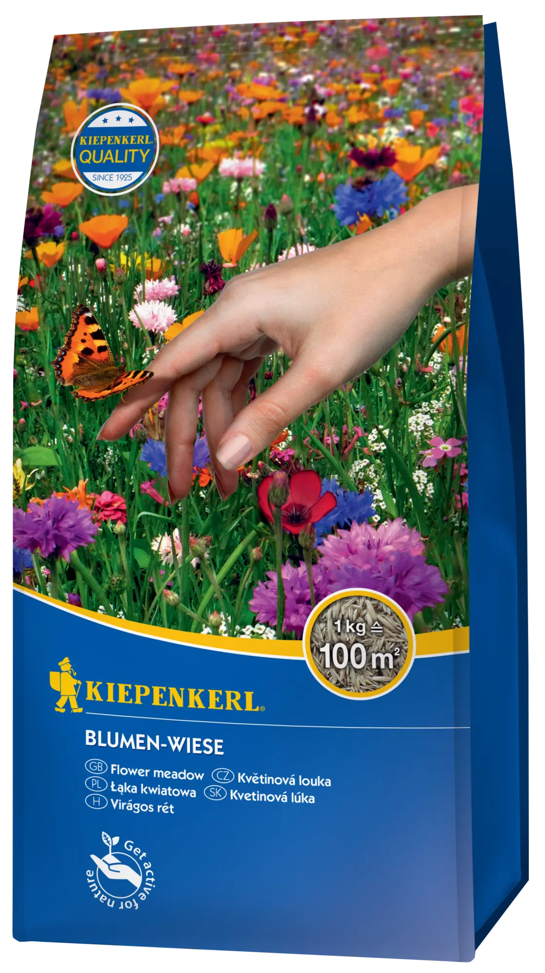 Blumen-Wiese, 1 kg, Rasensamen