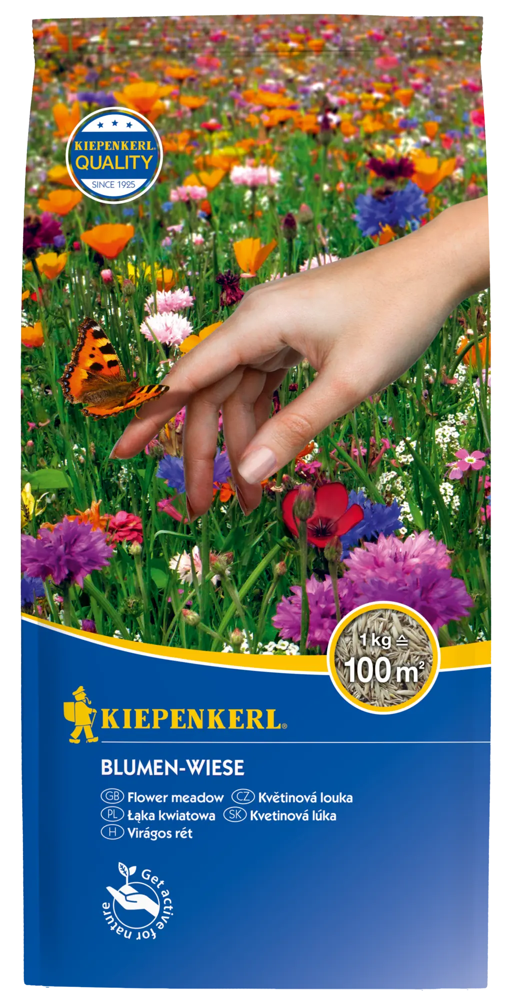 Blumen-Wiese, 1 kg, Rasensamen