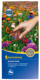 Blumen-Wiese, 1 kg, Rasensamen