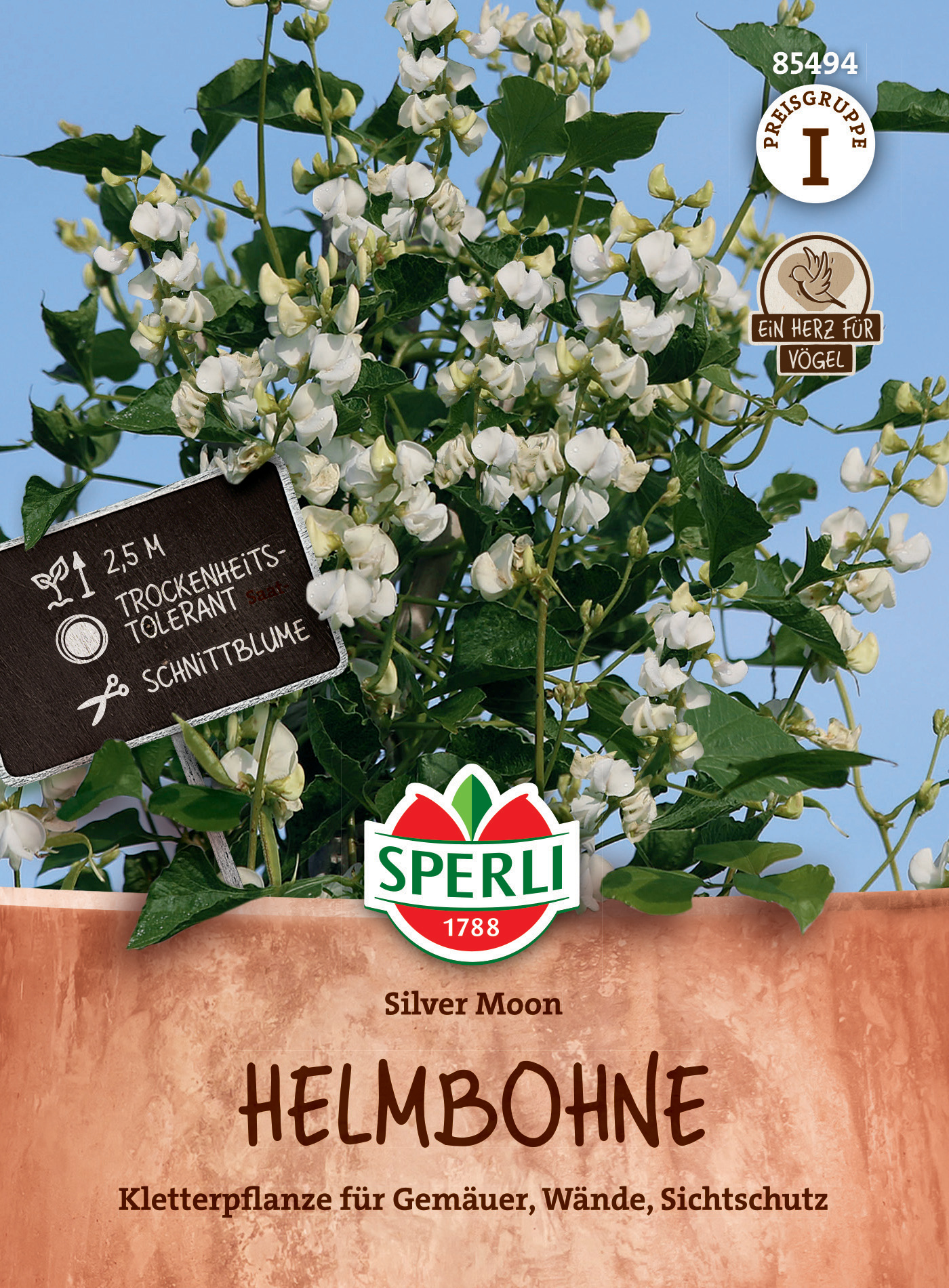 Blumenstrauch mit weißen Blüten und grünem Laub vor hybrid-blauen Hintergrund.