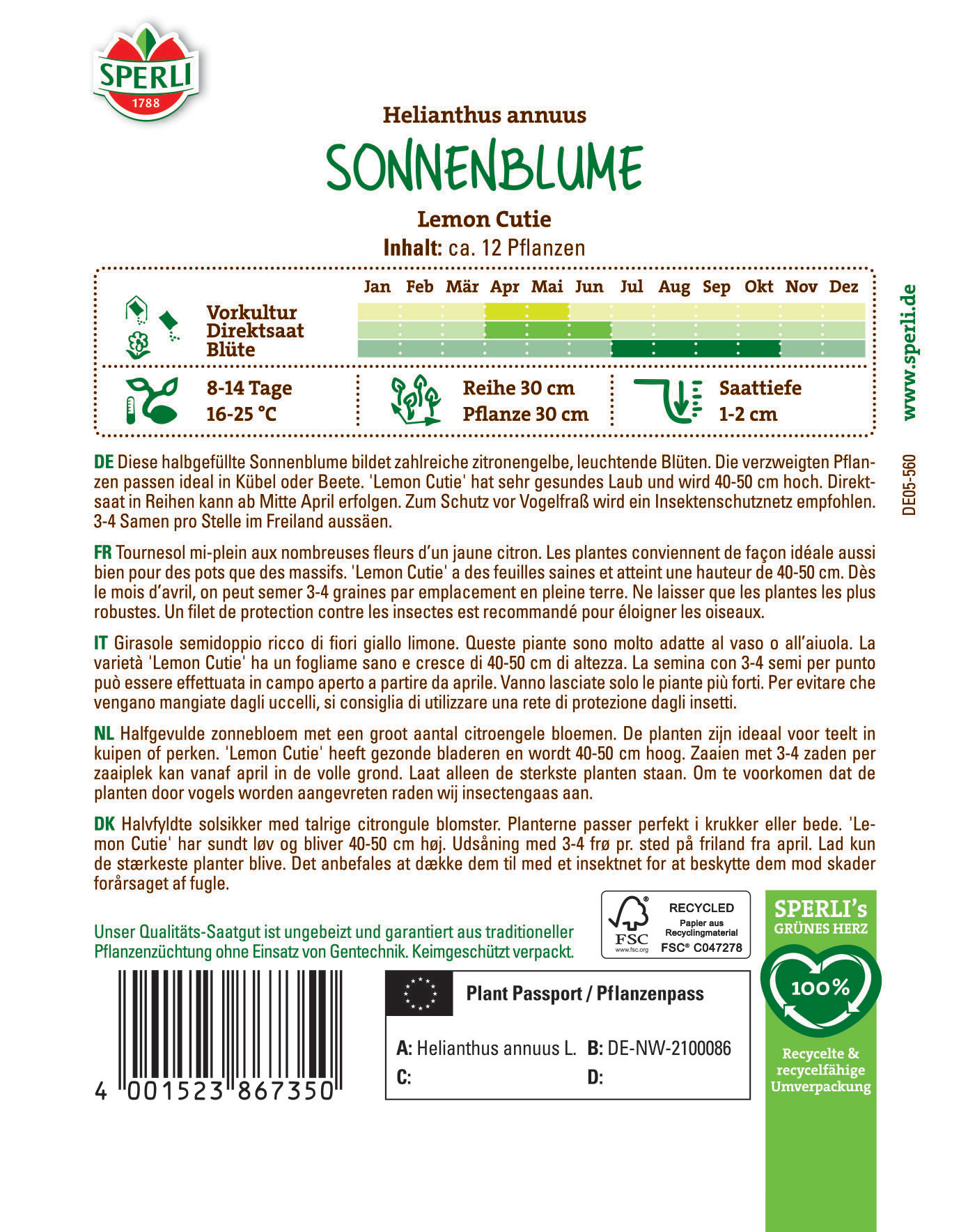Gelbe Zitronenblüten, kleine Blüten an Pflanzen, die etwa 40-50 cm hoch wachsen.