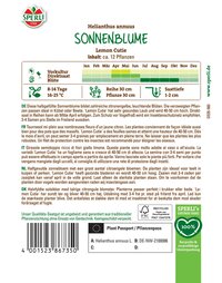 Gelbe Zitronenblüten, kleine Blüten an Pflanzen, die etwa 40-50 cm hoch wachsen.