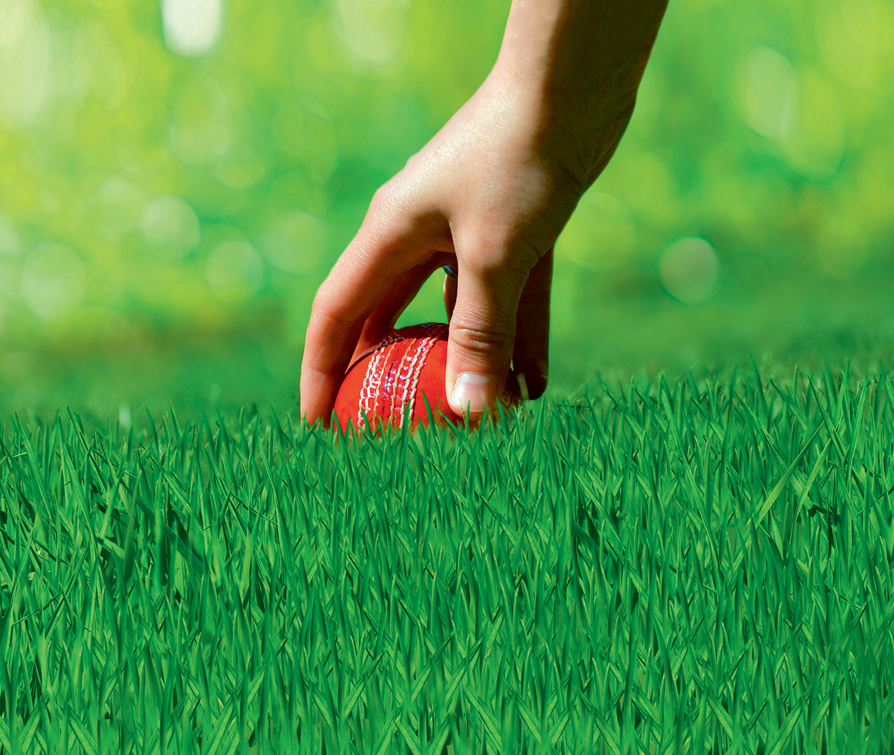 Hand legt einen roten Cricketball auf grünem Gras.