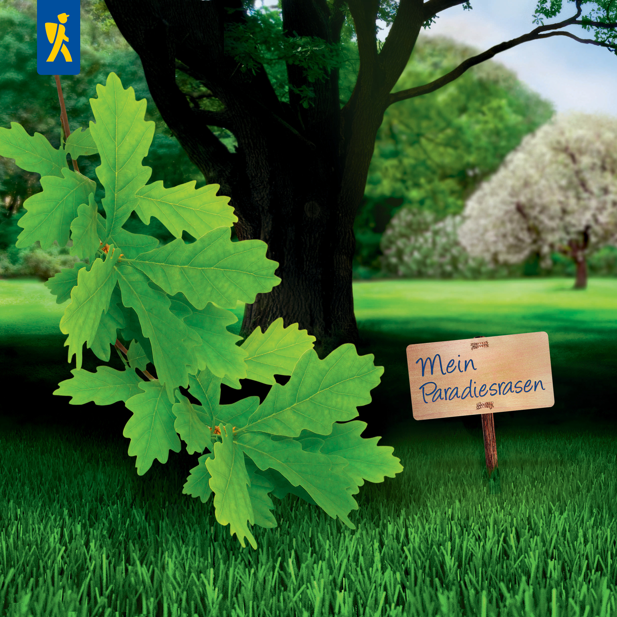 Großer Baum mit dunklem Stamm, grüner Grasboden, Weide im Hintergrund, Holzschild mit "Mein Paradiesrasen"