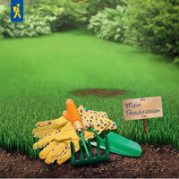Gartenwerkzeuge, Gummihandschuhe, Schild mit "Mein Paradiesrasen" auf Wiese mit Rasen und Büschen im Hintergrund.
