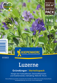 knstlicher olivenbaum gro Knstlicher Olivenbaum 150 cm  Classic Floral